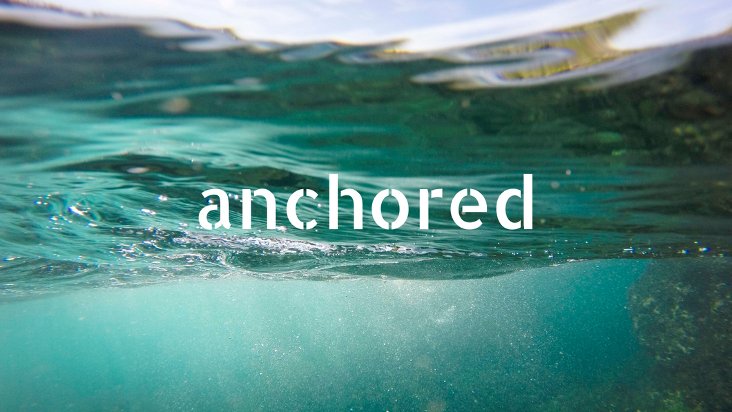 ANCHORED: 1:1 Introductory 60 min. Intuitive Life Coaching Session